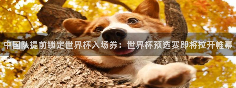 2026年世界杯时间表：中国队提前锁定世界杯入场券：世界杯预选赛即将拉开帷幕