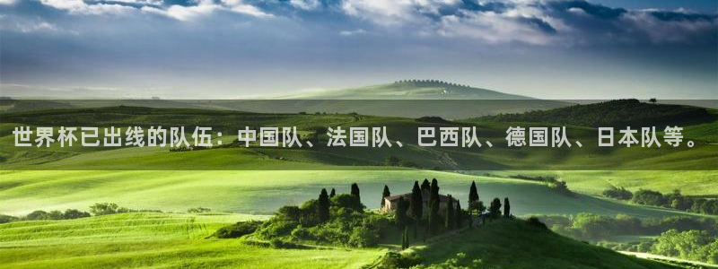 欧洲区世界杯预选赛：世界杯已出线的队伍：中国队、法国队、巴西队、德国队、日本队等。
