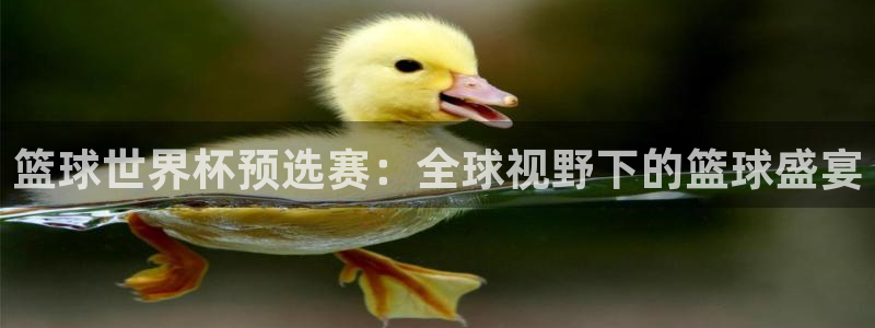 2026世界杯官网入口：篮球世界杯预选赛：全球视野下的篮球盛宴