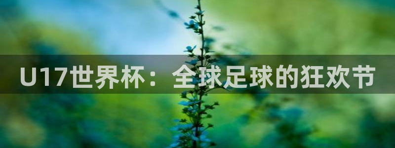 世界杯预选赛排名：U17世界杯：全球足球的狂欢节