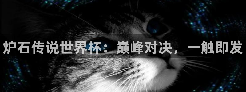 世界杯预选赛亚洲：炉石传说世界杯：巅峰对决，一触即发