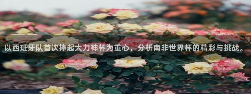2026足球世界杯赛程：以西班牙队首次捧起大力神杯为重心，分析南非世界杯的精彩与挑战。