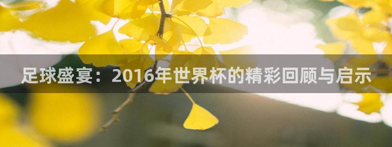 足球世界杯赛程：足球盛宴：2016年世界杯的精彩回顾与启示