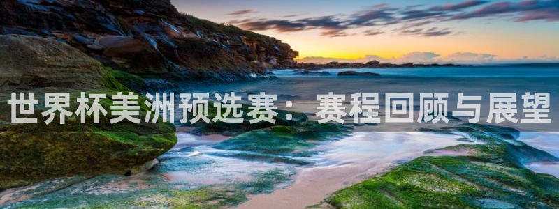 2026男足世界杯赛程：世界杯美洲预选赛：赛程回顾与展望