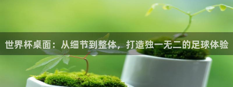 2026世界杯德国队阵容：世界杯桌面：从细节到整体，打造独一无二的足球体验