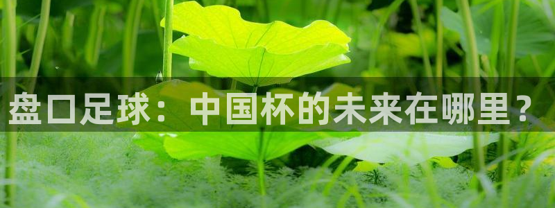 世界杯亚洲区预选赛赛程表：盘口足球：中国杯的未来在哪里？