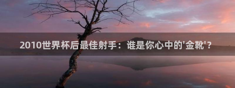 世界杯欧洲预选赛：2010世界杯后最佳射手：谁是你心中的\'金靴\'？