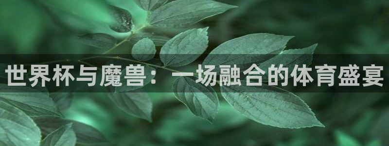欧洲世界杯预选赛：世界杯与魔兽：一场融合的体育盛宴
