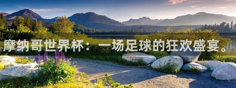 世界杯球队：摩纳哥世界杯：一场足球的狂欢盛宴。