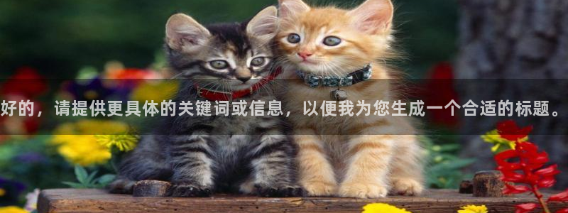世界杯赛程时间表：好的，请提供更具体的关键词或信息，以便我为您生成一个合适的标题。