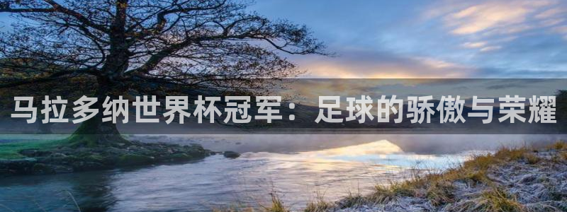 2026男足世界杯赛程：马拉多纳世界杯冠军：足球的骄傲与荣耀