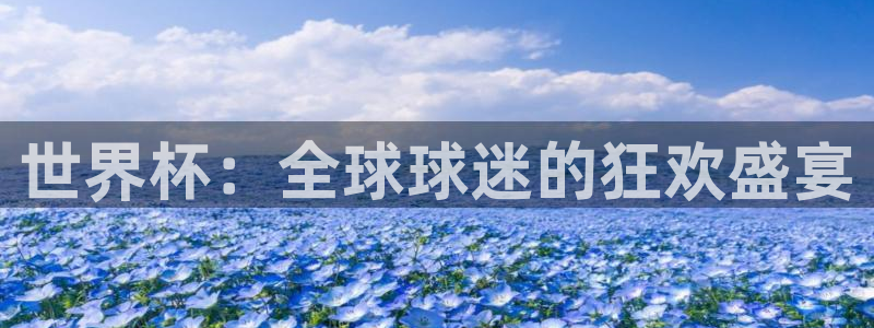 世界杯欧洲区赛程：世界杯：全球球迷的狂欢盛宴