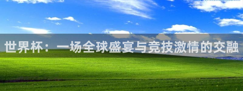世界杯预选赛2026：世界杯：一场全球盛宴与竞技激情的交融