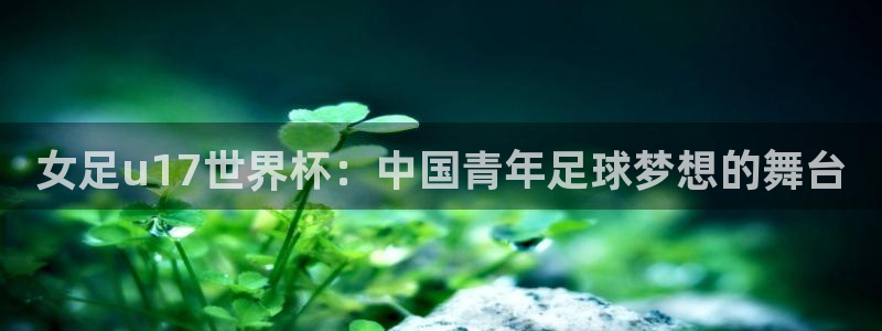 世界杯今年：女足u17世界杯：中国青年足球梦想的舞台