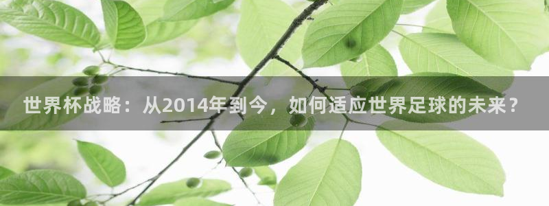 世界杯直播观看：世界杯战略：从2014年到今，如何适应世界足球的未来？