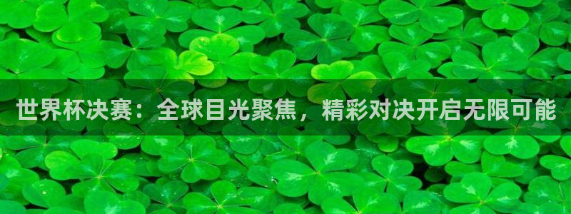 世界杯预选赛欧洲赛区积分榜：世界杯决赛：全球目光聚焦，精彩对决开启无限可能
