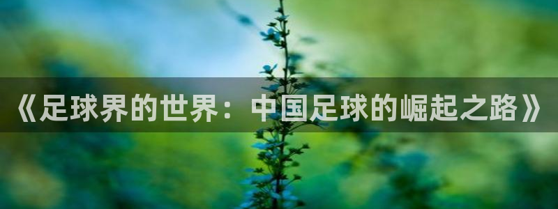 2026世界杯亚洲预选赛赛程：《足球界的世界：中国足球的崛起之路》